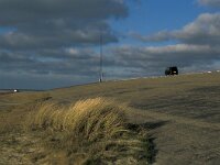 NL, Zeeland, Schouwen-Duiveland, Brouwersdam 1, Saxifraga-Jan van der Straaten