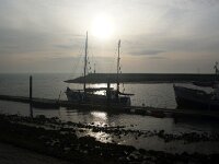 NL, Zeeland, Schouwen-Duiveland, Burghsluis 1, Saxifraga-Foto Fitis-Sytske Dijksen