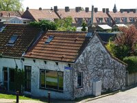 NL, Zeeland, Schouwen-Duiveland, Colijnsplaat 1, Saxifraga-Foto Fitis-Sytske Dijksen