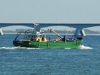 NL, Zeeland, Schouwen-Duiveland, Oosterschelde 2, Saxifraga-Foto Fitis-Sytske Dijksen