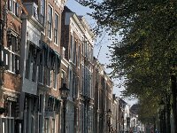 NL, Zeeland, Schouwen-Duiveland, Zierikzee 2, Saxifraga-Jan van der Straaten