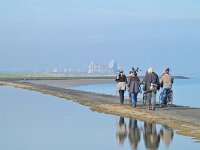 NL, Zeeland, Sluis, Voorland Nummer Een 5, Saxifraga-Tom Heijnen