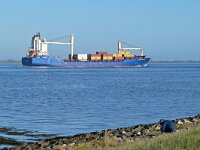 NL, Zeeland, Terneuzen, Zeedijk Margarethapolder 2, Saxifraga-Tom Heijnen