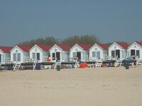 NL, Zeeland, Veere, Valkenisse, Dishoek 10, Saxifraga-Jan van der Straaten