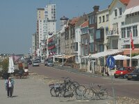 NL, Zeeland, Vlissingen 15, Saxifraga-Jan van der Straaten