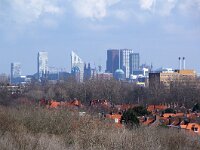 NL, Zuid-Holland, 's-Gravenhage 2, Saxifraga-Foto Fitis-Sytske Dijksen