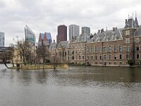NL, Zuid-Holland, 's-Gravenhage, Hofvijver & Binnenhof 1, Saxifraga-Tom Heijnen