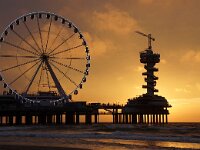 NL, Zuid-Holland, 's-Gravenhage, Scheveningen 14, Saxifraga-Foto Fitis-Sytske Dijksen