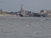 NL, Zuid-Holland, 's-Gravenhage, Scheveningen 6, Saxifraga-Norman Deans van Swelm