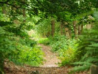 NL, Zuid-Holland, 's-Gravenhage, Solleveld 2, Foto Fitis-Sytske Dijksen