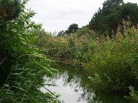 NL, Zuid-Holland, 's-Gravenhage, Solleveld 4, Foto Fitis-Sytske Dijksen