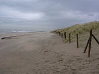 NL, Zuid-Holland, 's-Gravenhage, Westduinpark 2, Saxifraga-Rudmer Zwerver : Westduinpark, Zuid Holland, creative nature, den haag, holland, landscape, landschap, natura 2000, nederland, rudmer zwerver, strand, zee