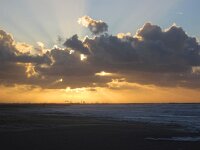 NL, Zuid-Holland, 's-Gravenhage, Zuidhavenhoofd 4, Saxifraga-Bart Vastenhouw