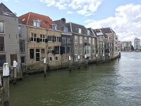 NL, Zuid-Holland, Dordrecht 12, Saxifraga-Willem van Kruijsbergen