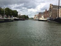 NL, Zuid-Holland, Dordrecht 34, Saxifraga-Willem van Kruijsbergen