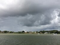 NL, Zuid-Holland, Dordrecht 4, Saxifraga-Willem van Kruijsbergen