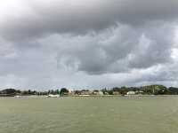 NL, Zuid-Holland, Dordrecht 5, Saxifraga-Willem van Kruijsbergen