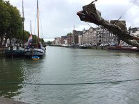 NL, Zuid-Holland, Dordrecht 9, Saxifraga-Willem van Kruijsbergen