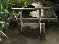 NL, Zuid-Holland, Dordrecht, Zuidhaven 7, Saxifraga-Jan van der Straaten