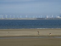 NL, Zuid-Holland, Goeree-Overflakkee, Kwade Hoek 30, Saxifraga-Willem van Kruijsbergen