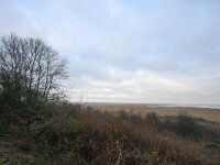 NL, Zuid-Holland, Goeree-Overflakkee, Kwade Hoek 59, Saxifraga-Bart Vastenhouw