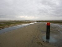 NL, Zuid-Holland, Goeree-Overflakkee, Kwade Hoek 72, Saxifraga-Bart Vastenhouw