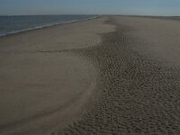 NL, Zuid-Holland, Goeree-Overflakkee, Kwade Hoek 91, Saxifraga-Jan van der Straaten