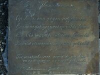 NL, Zuid-Holland, Goeree-Overflakkee, Stellendam 9, Saxifraga-Jan van der Straaten