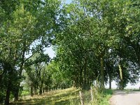 NL, Zuid-Holland, Hoeksche Waard, Strijen 1, Foto Fitis-Sytske Dijksen