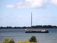 NL, Zuid-Holland, Hoeksche Waard, Vuile Gat 1, Saxifraga-Bart Vastenhouw
