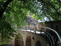 NL, Zuid-Holland, Leiden, Burcht 1, Saxifraga-Sytske Dijksen