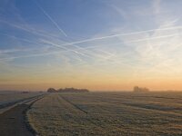 NL, Zuid-Holland, Midden-Delfland 6, Saxifraga-Bart Vastenhouw