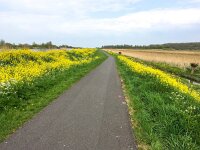 NL, Zuid-Holland, Midden-Delfland, Maasland 1, Saxifraga-Bart Vastenhouw