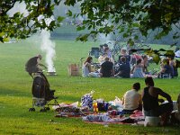 NL, Zuid-Holland, Rotterdam 51, Saxifraga-Foto Fitis-Sytske Dijksen