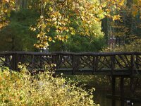 NL, Zuid-Holland, Rotterdam, Boezemsingel 2, Saxifraga-Foto Fitis-Sytske Dijksen