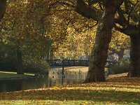 NL, Zuid-Holland, Rotterdam, Boezemsingel 3, Saxifraga-Foto Fitis-Sytske Dijksen