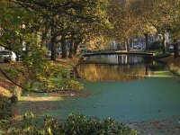 NL, Zuid-Holland, Rotterdam, Boezemsingel 4, Saxifraga-Foto Fitis-Sytske Dijksen