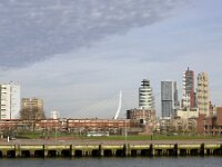 NL, Zuid-Holland, Rotterdam, Erasmusbrug 3, Saxifraga-Tom Heijnen