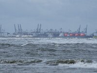 NL, Zuid-Holland, Rotterdam, Maasvlakte 5, Saxifraga-Willem van Kruijsbergen