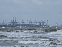 NL, Zuid-Holland, Rotterdam, Maasvlakte 7, Saxifraga-Willem van Kruijsbergen