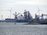 NL, Zuid-Holland, Rotterdam, Nieuwe Waterweg 2, Saxifraga-Foto Fitis-Sytske Dijksen