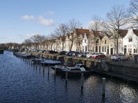 NL, Zuid-Holland, Voorne aan Zee, Noord Spui 2, Saxifraga-Tom Heijnen