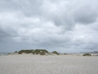 NL, Zuid-Holland, Westland, Monster 18, Saxifraga-Willem van Kruijsbergen