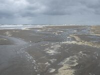 NL, Zuid-Holland, Westland, Monster 19, Saxifraga-Willem van Kruijsbergen