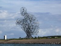 NL, Flevoland, Lelystad, Houtribdijk 2, Saxifraga-Foto Fitis-Sytske Dijksen