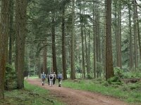 NL, Friesland, Ooststellingwerf, Fochteloerveen 15, Saxifraga-Tom Heijnen