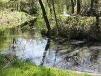 NL, Friesland, Ooststellingwerf, Ravenswoud 1,