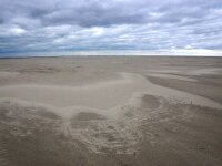 NL, Friesland, Schiermonnikoog, Westerstrand 1, Saxifraga-Foto Fitis-Sytske Dijksen