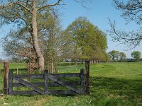 NL, Friesland, Sudwest-Fryslan, Makkum 5, Saxifraga-Hans Dekker