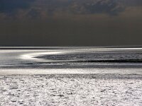 NL, Friesland, Terschelling 5, Saxifraga-Foto Fitis-Sytske Dijksen